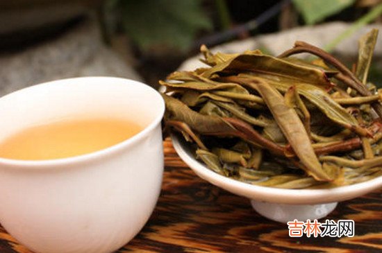 普洱生茶需要煮吗