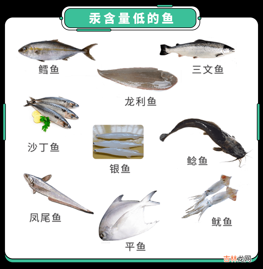 吃鱼也会危害健康?这2类鱼,超市看见,绕道走