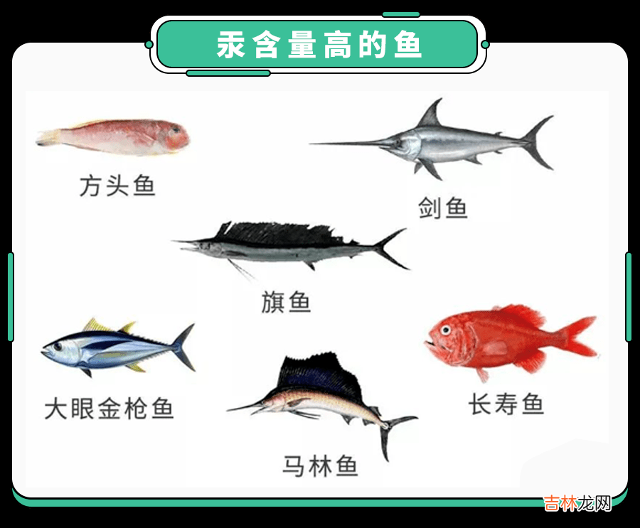 吃鱼也会危害健康?这2类鱼,超市看见,绕道走