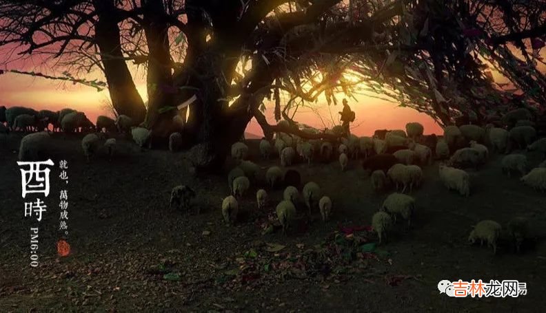 把握了十二时辰,就把握了人生