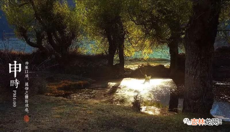 把握了十二时辰,就把握了人生