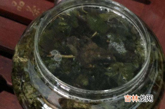 冲泡乌龙茶的三要素