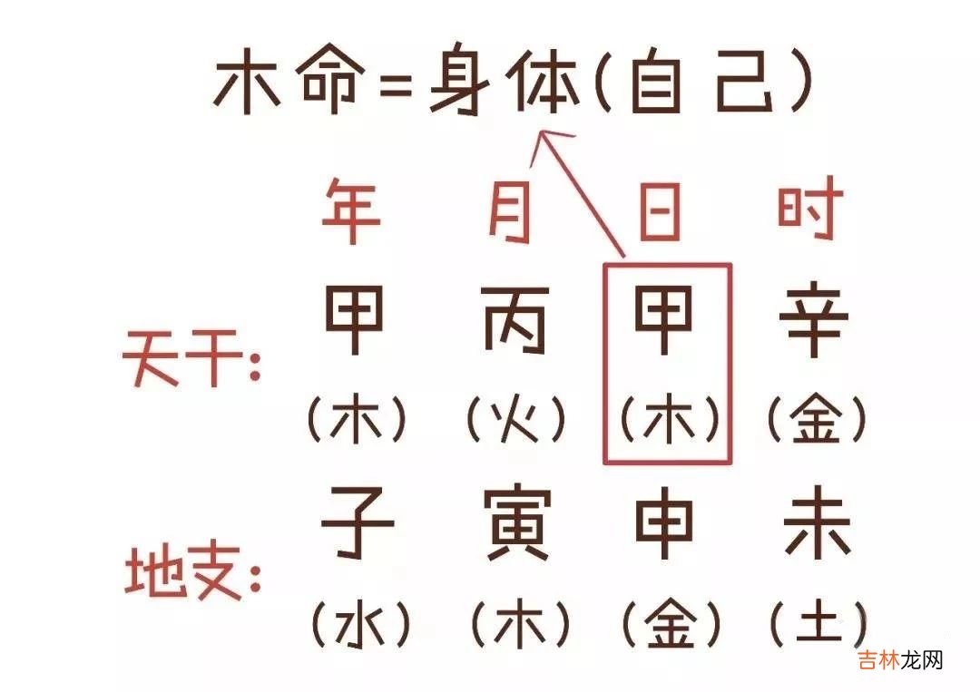 用通俗易懂的方式让你3分钟就懂得“算命”是怎么算的！
