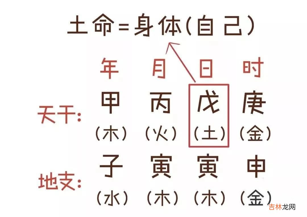 用通俗易懂的方式让你3分钟就懂得“算命”是怎么算的！