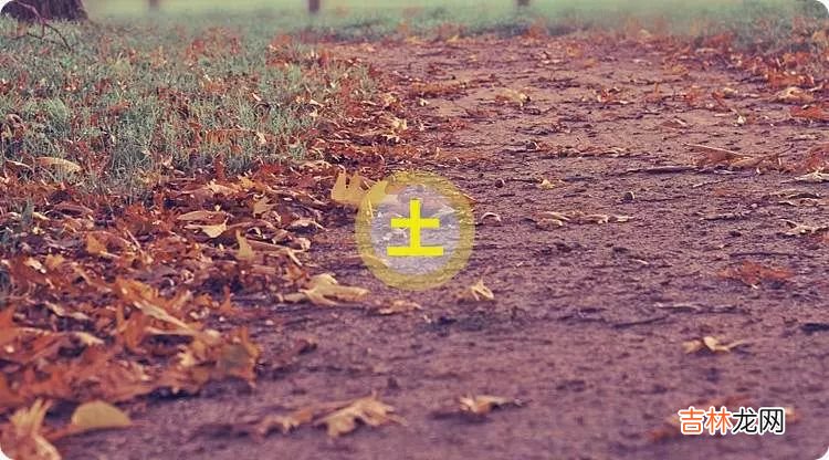 五行中，你属什么就是什么样的人！太准了~