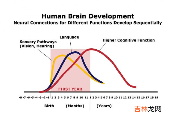 男孩给天文馆纠错，气到“暴走”：那些知识储备强大的孩子，是如何养成的？