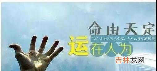 财运在人的运势,什么样的八字有财运?
