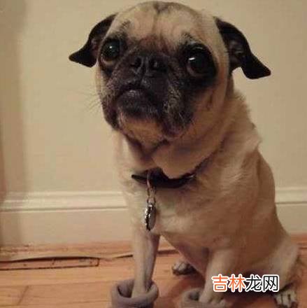 搞笑段子搞笑图片：我不是故意的，你的声音太像我媳妇的声音了