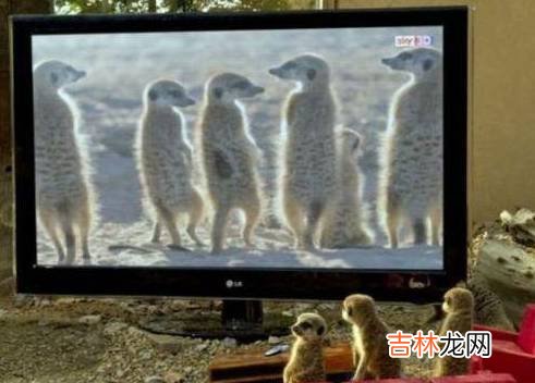 搞笑段子搞笑图片：我不是故意的，你的声音太像我媳妇的声音了