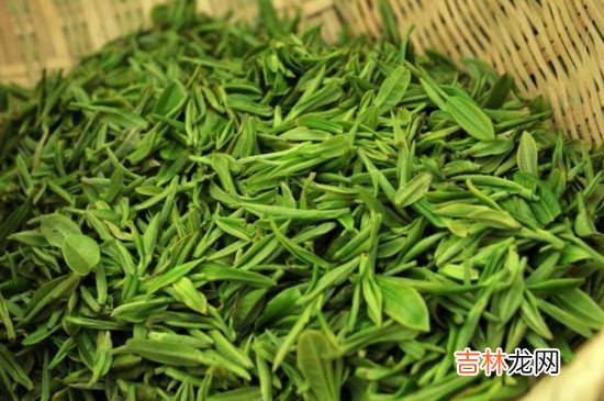 龙井茶是绿茶还是红茶