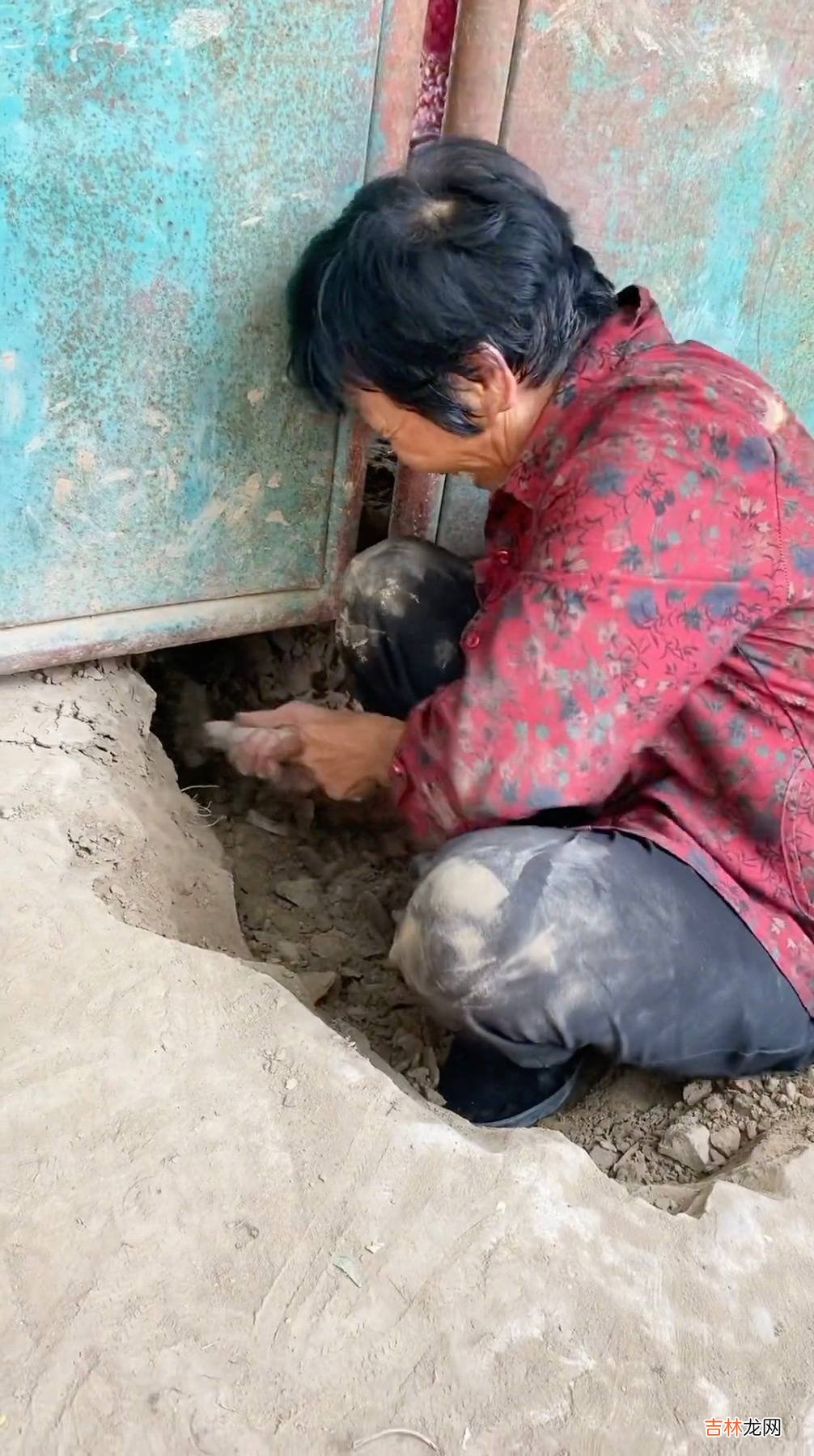 奶奶出门忘带钥匙挖门洞进屋,孙女拍视频记录:奶奶身体很棒