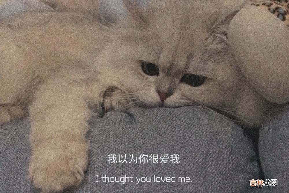 你知道比失去更遗憾的是什么吗