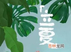 2020年立夏后一天四月十四修坟好吗,立夏进入三伏天吗？