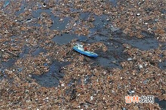 重庆垃圾分类标准