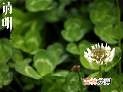 清明节扫墓如何穿衣服,2020年清明节当天是不是吉日？