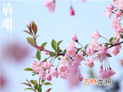 2020年清明节第二天不可以搬家吗,2020清明节温度多少度？