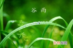 谷雨节气出生的人性格多愁善感吗，感情运势如何？