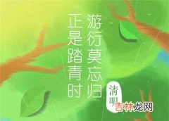 2020年清明节第二天不能出远门吗,2020年清明节会下雨吗？