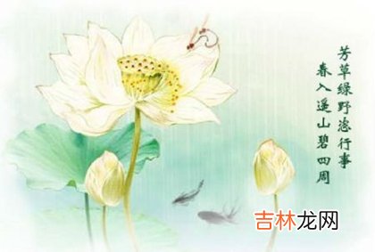 清明北方吃什么传统食物,2020年清明节第二天开业好吗？