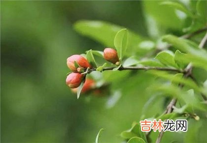 2020年四月十三立夏不宜装修房子吗,5月5日卦象解析！