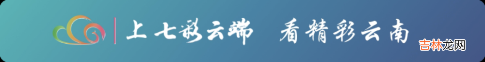 听见云南丨哀牢髭蟾：我长了爱情的胡须