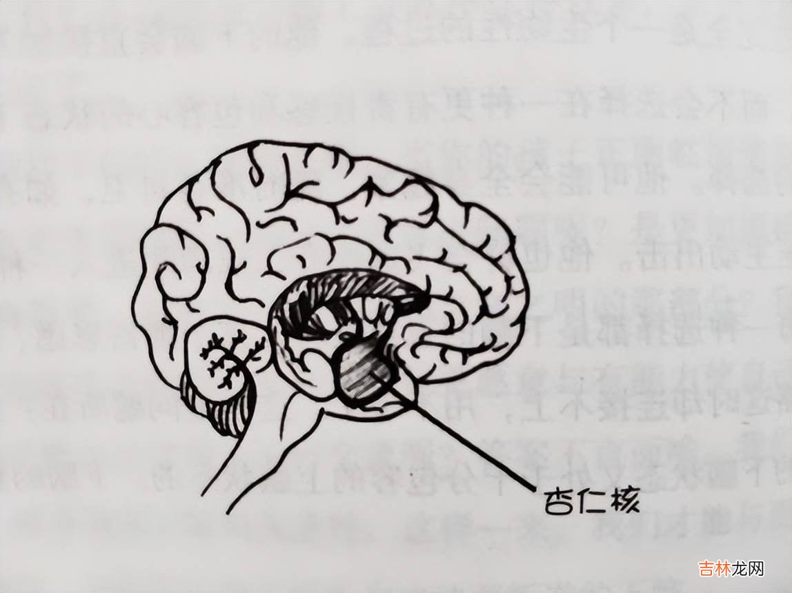 你的情绪会损伤孩子的大脑！这不危言耸听，有心理学家的实验证明