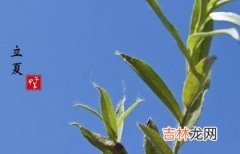 2020年立夏后一天-四月十四宜装修吗,立夏是什么意思？