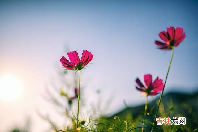 白驹过隙 三十岁对于女人来说，是人生的一个重要节点
