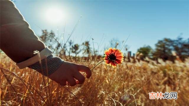 诗人泰戈尔留下的很多话 好的爱情一定是忠诚的、负责的