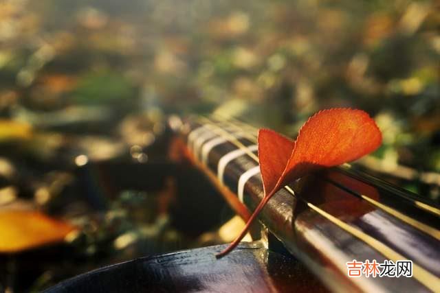 在和喜欢的人步入婚姻殿堂之前 裸婚时代，女人不要彩礼就是好的婚姻，女人需要谨慎选择