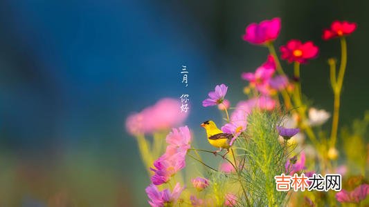 三月三·中国多民族传统节日—日子好不好，