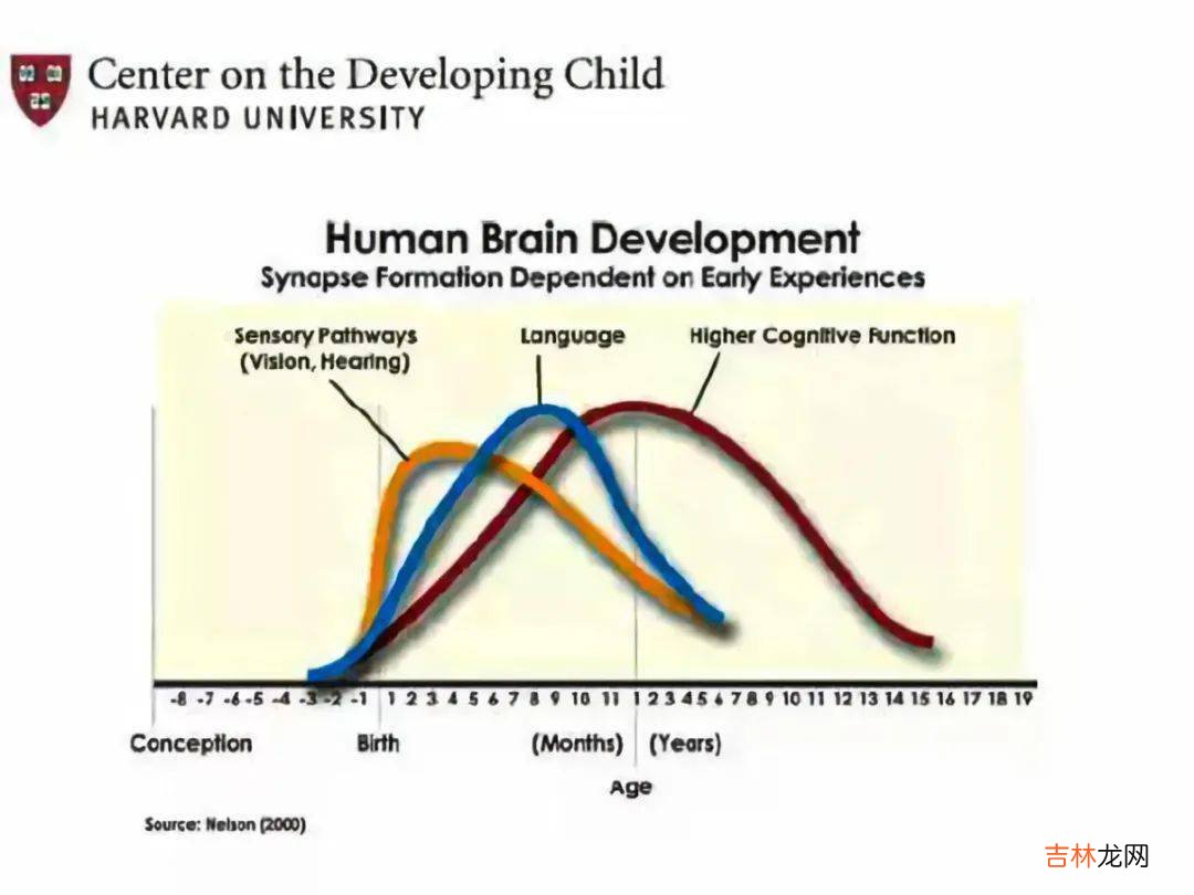 上海中产家庭真实生活曝光：学科培训班消失，如何在新学期实现弯道超车？