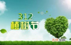 3.12 2020年植树节出生的鼠宝宝命格好不好？