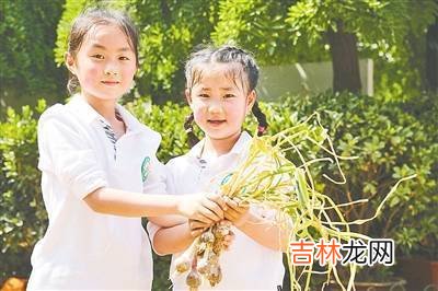 用心用情灌溉 生命温润美好