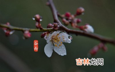 2020年谷雨这天可以登记结婚证吗？结婚登记要准备什么？