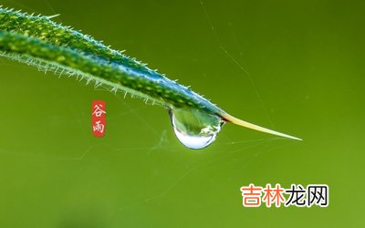 2020庚子鼠年谷雨订婚好吗？谷雨节气卦象好不好？