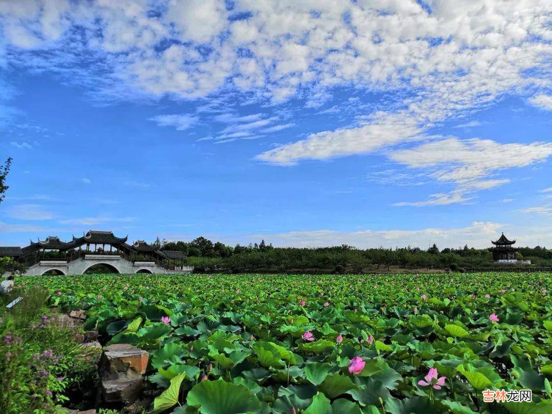 在“赛那时光”里遇见爱与幸福——广汽丰田邀您一起去露营