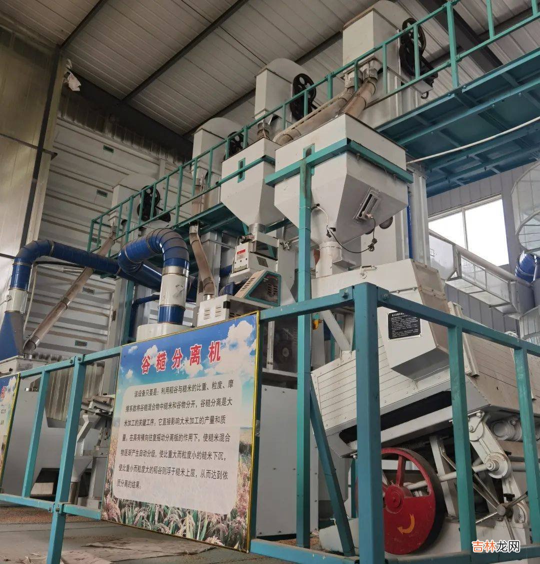 好米知时节 | “稻”现场 粒归仓 沿黄收割水稻综合劳动实践课程