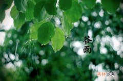 谷雨有什么风俗习俗？它的节气含义是什么？