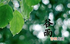 2020鼠年 谷雨日期是几月几日，日子冲属相狗吗？