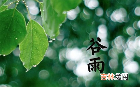 2020鼠年 谷雨日期是几月几日,日子冲属相狗吗?
