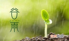 庚子鼠年 今年谷雨是几号，谷雨有什么物候现象？