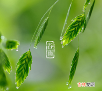 2020年谷雨是什么时候？谷雨习俗都有哪些？