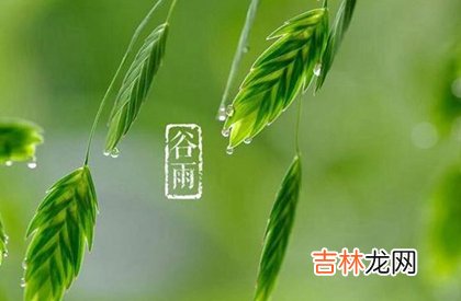 2020年谷雨当天禁忌搬家吗,2020年谷雨日期解析