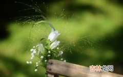 2020年谷雨是农历几月几日，日子卦象好不好？