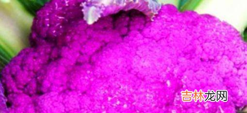 女性想要身体好,不妨多吃四种食物,排毒养颜、补益气血的功效