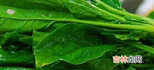 女性想要身体好,不妨多吃四种食物,排毒养颜、补益气血的功效