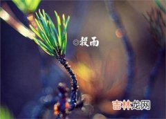 2020年谷雨前一天可以烧香祈福吗,谷雨可以回娘家吗？