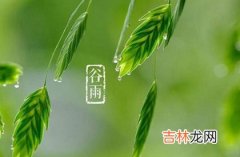 2020年今日谷雨宜理发吗,谷雨节气下雨有什么说法？