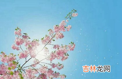 2020年阴历四月十-5月3日黄历日子适合出行出远门吗？